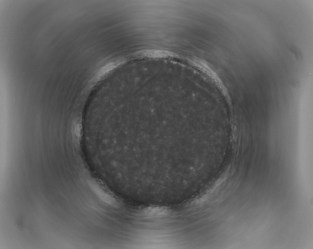 X0000111050063200908061526