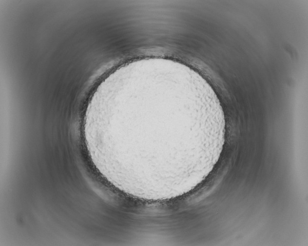 X0000111050064200908061526