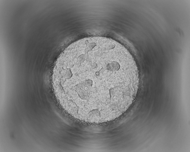 X0000111050065200908061526