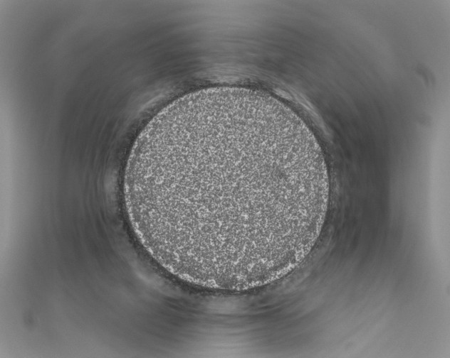 X0000111050066200908061526