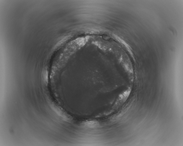 X0000111050067200908061526