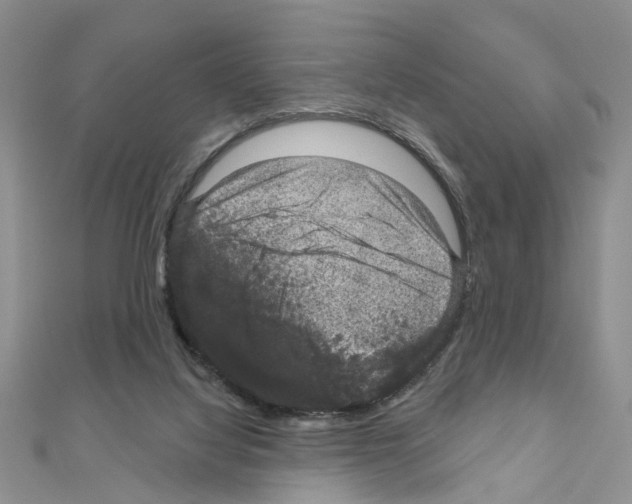 X0000111050068200908061526