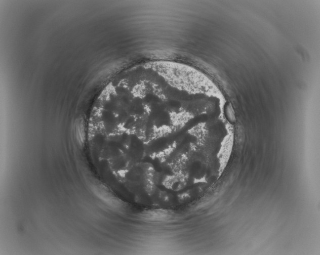 X0000111050069200908061526