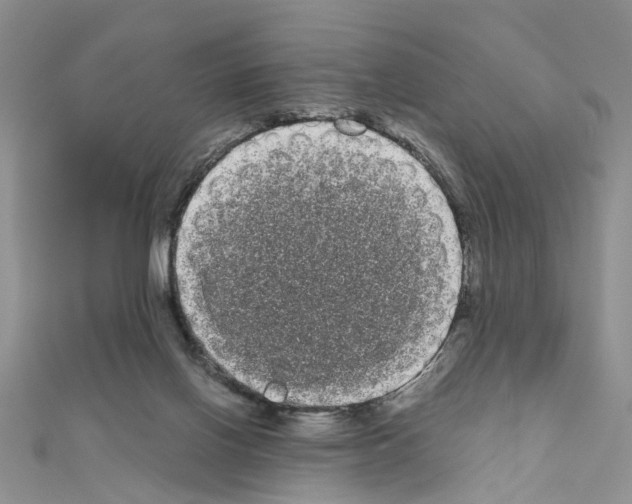 X0000111050070200908061526