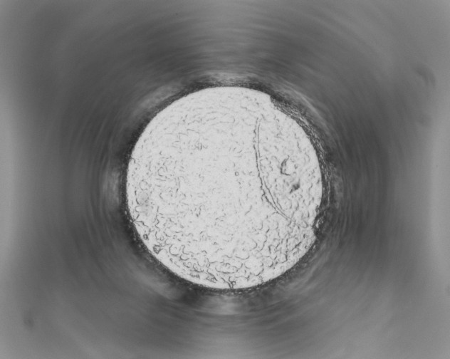 X0000111050071200908061526