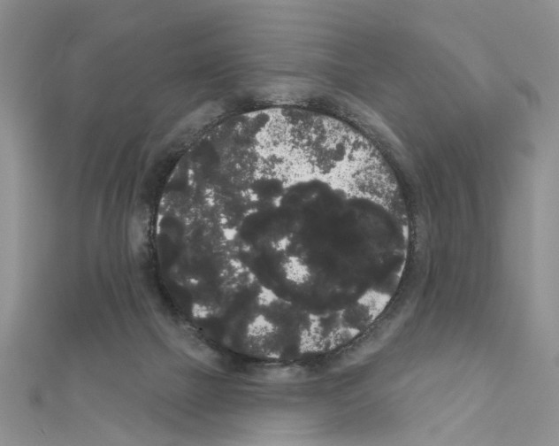 X0000111050073200908061526