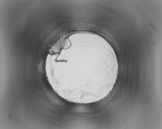 X0000111050074200908061526