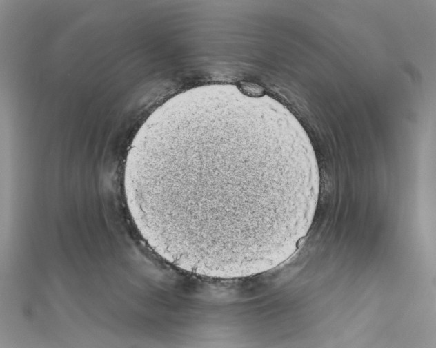 X0000111050078200908061527