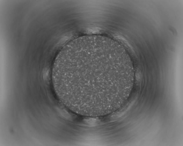 X0000111050079200908061527