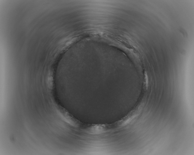 X0000111050080200908061527