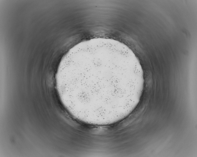 X0000111050081200908061527