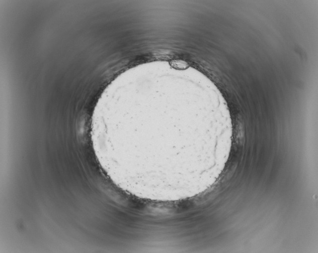 X0000111050082200908061527