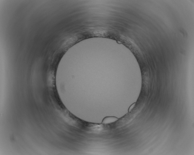 X0000111050083200908061527