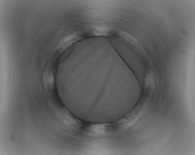 X0000111050084200908061527