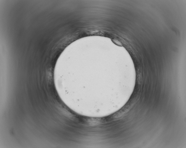 X0000111050085200908061527