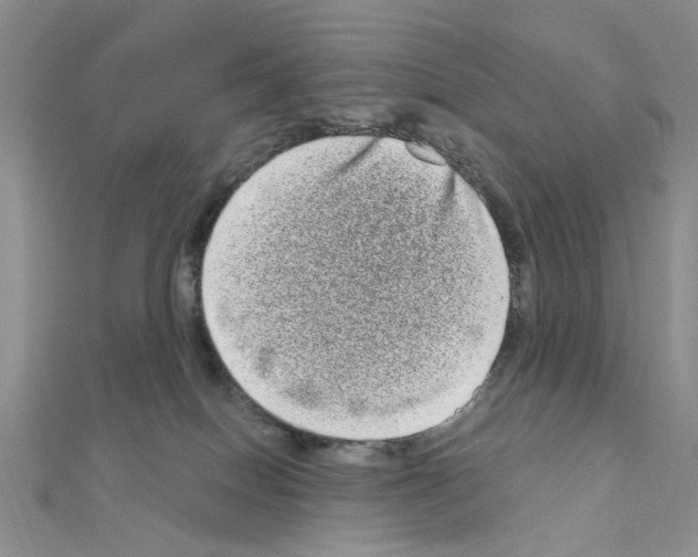 X0000111050086200908061527