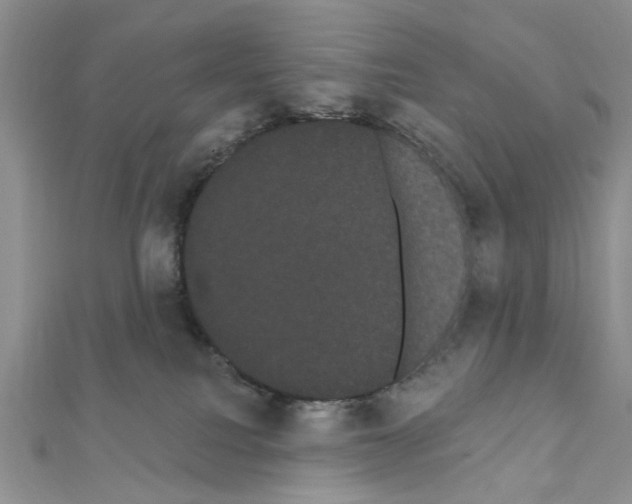 X0000111050088200908061527