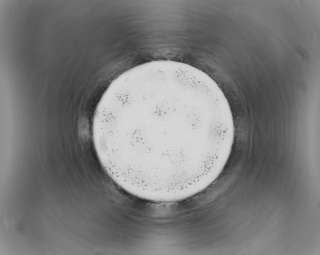 X0000111050089200908061527