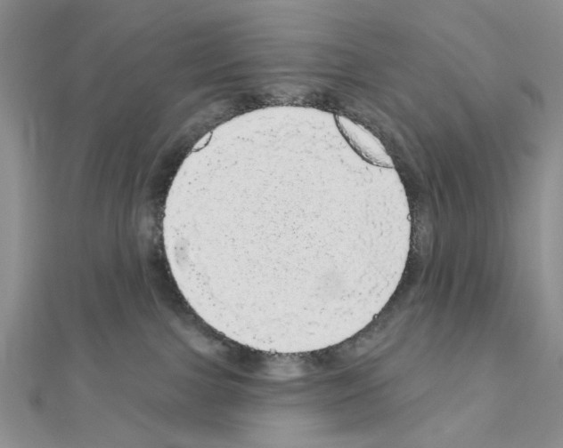 X0000111050091200908061527