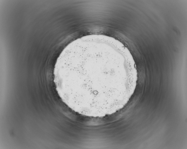 X0000111050093200908061527