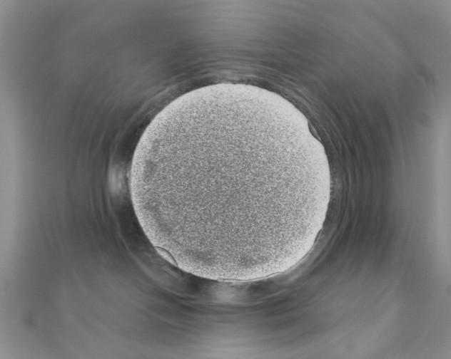 X0000111050094200908061527