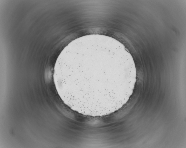 X0000111050095200908061527