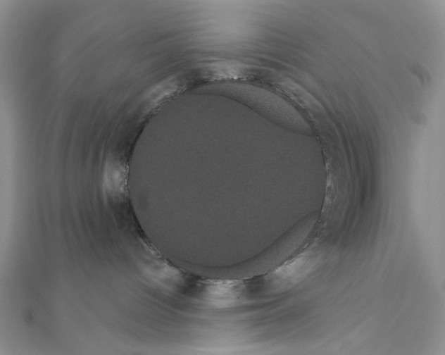 X0000111050096200908061527