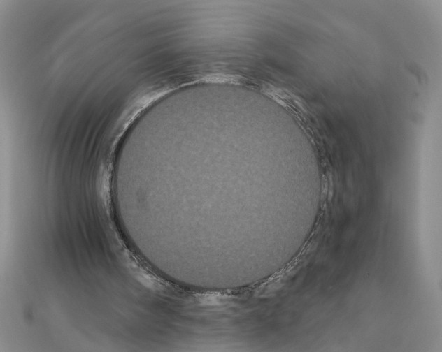 X0000111050098200908061526