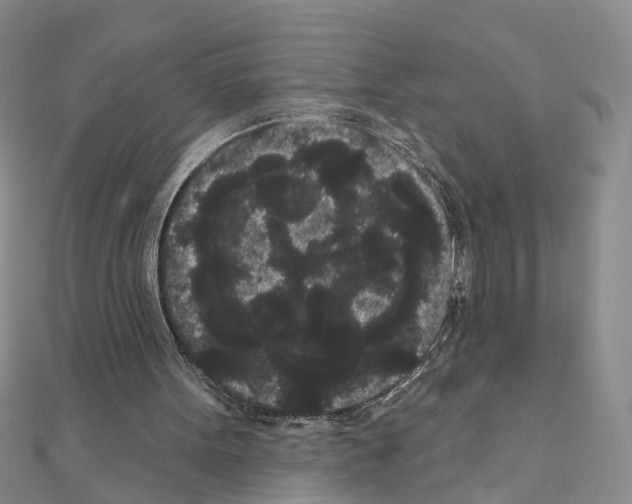 X0000111050099200908061526