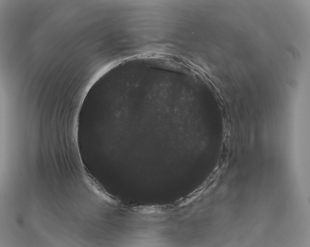 X0000111050100200908061526