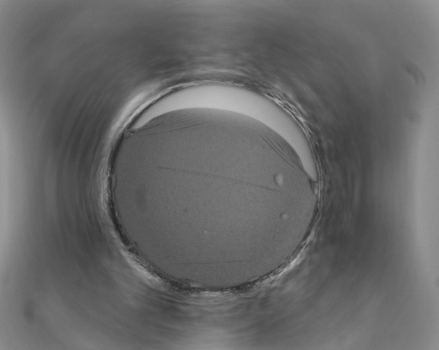 X0000111050101200908061526