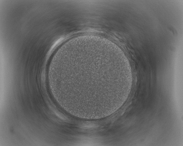 X0000111050102200908061526