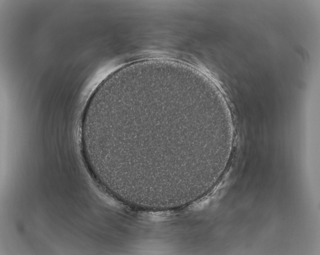 X0000111050103200908061526