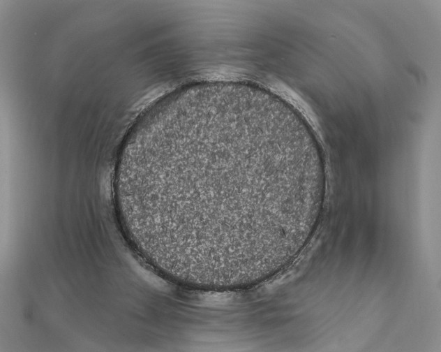 X0000111050105200908061526