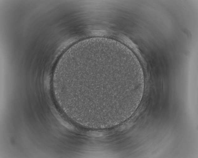 X0000111050106200908061526