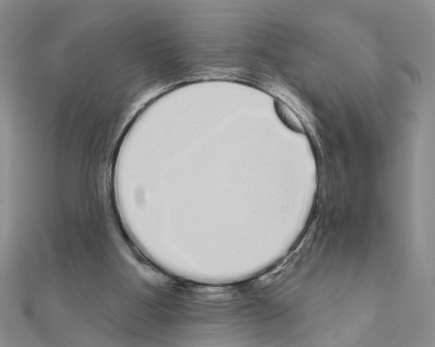 X0000111050107200908061526