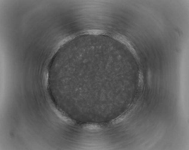 X0000111050110200908061526