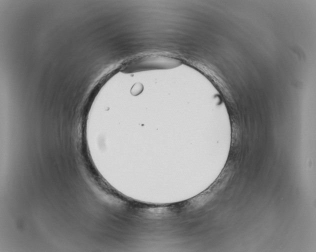 X0000111050112200908061526