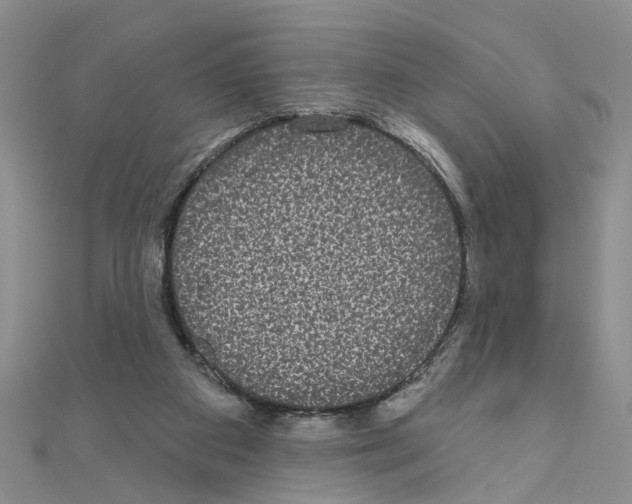 X0000111050113200908061526