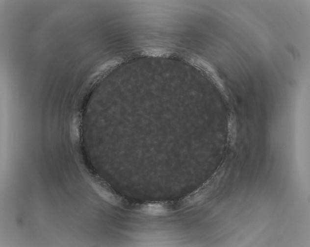 X0000111050114200908061526