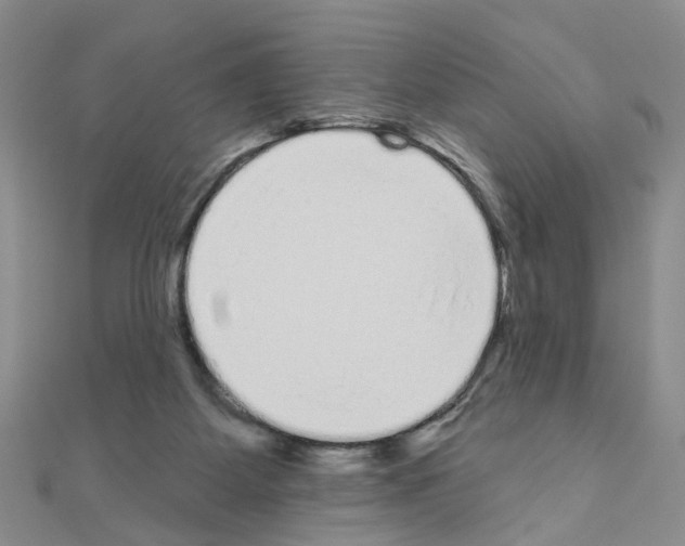 X0000111050115200908061526