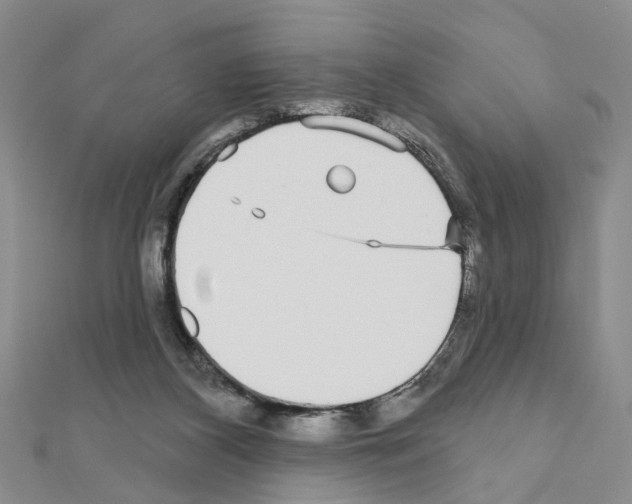 X0000111050116200908061526