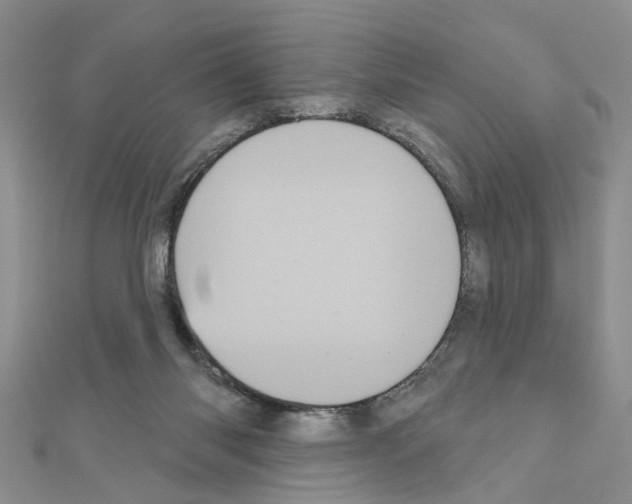 X0000111050118200908061526