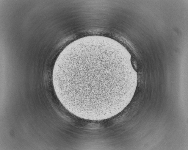 X0000111050119200908061526