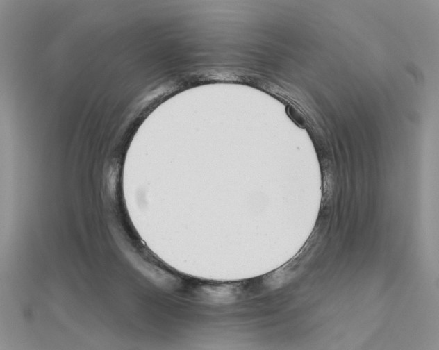 X0000111050120200908061525