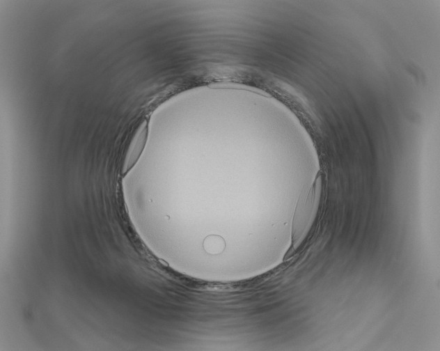 X0000111050121200908061525