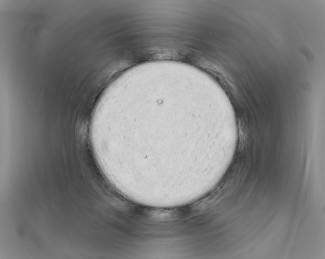 X0000111050123200908061525