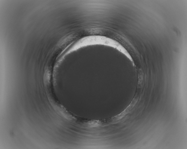 X0000111050124200908061525