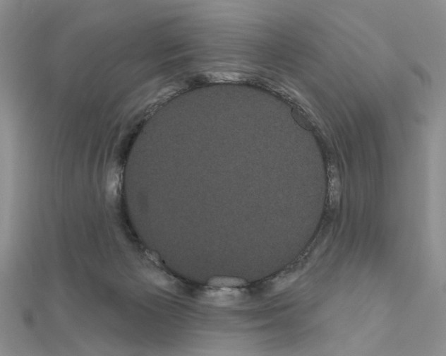 X0000111050125200908061525