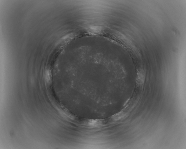 X0000111050130200908061525